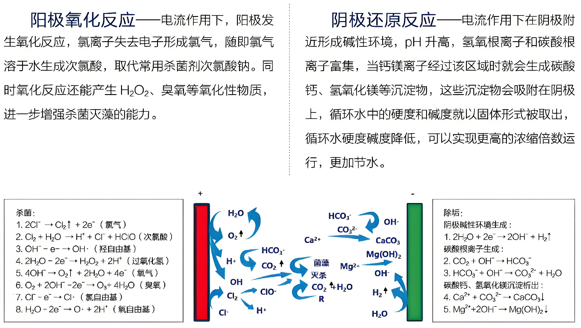 电化学除垢装置
