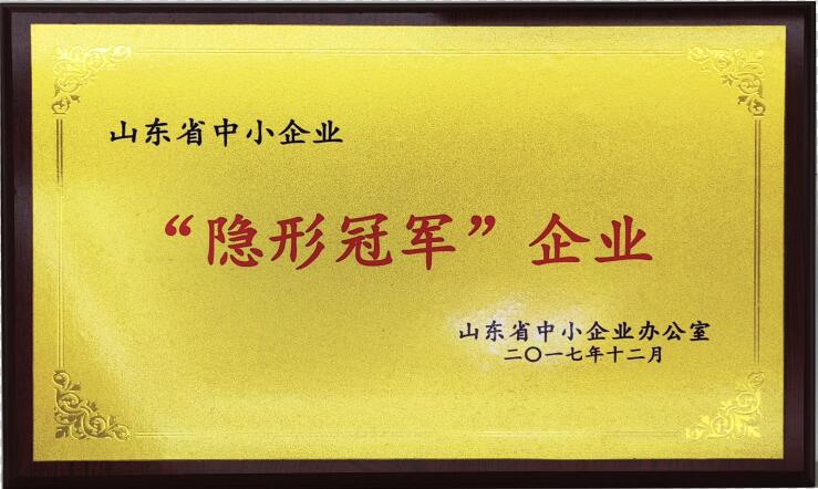 山东省中小企业“隐形冠军”单位