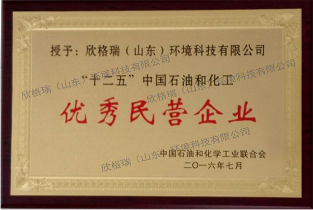 “十二五”中国石油和化工优秀民营企业