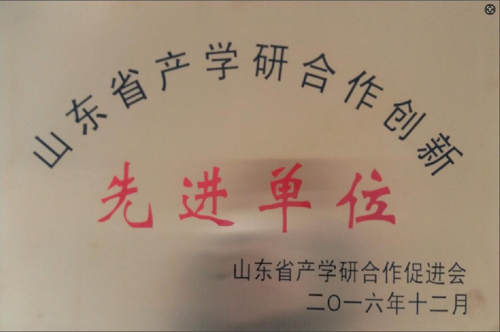 山东省技术创新和产学研合作先进单位