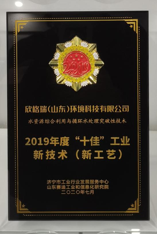 2019年度“十佳”工业新技术（新工艺）