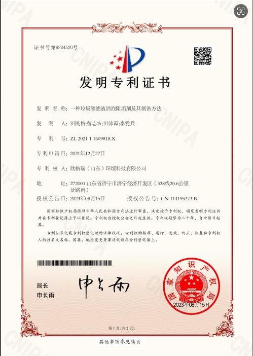 一种垃圾渗滤液消泡阻垢剂及共制备方法