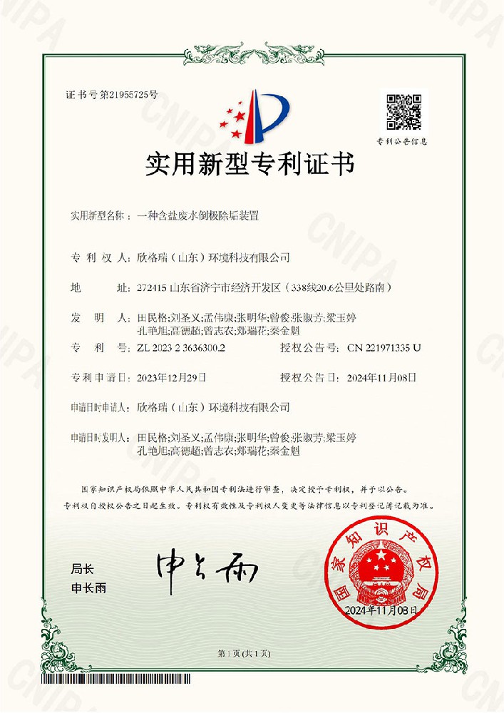 一种含盐废水倒极除垢装置